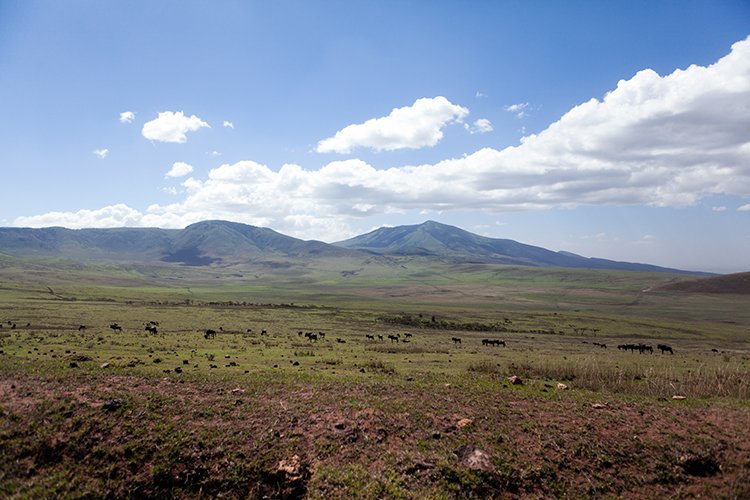 TZA ARU Ngorongoro 2016DEC23 040